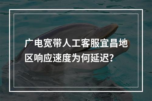 广电宽带人工客服宜昌地区响应速度为何延迟？