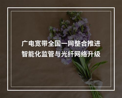 广电宽带全国一网整合推进智能化监管与光纤网络升级