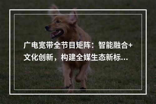广电宽带全节目矩阵：智能融合+文化创新，构建全媒生态新标杆