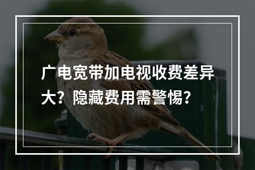 广电宽带加电视收费差异大？隐藏费用需警惕？