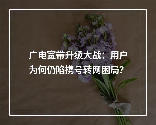 广电宽带升级大战：用户为何仍陷携号转网困局？
