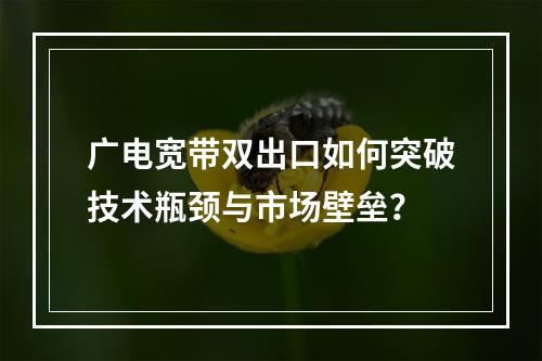 广电宽带双出口如何突破技术瓶颈与市场壁垒？