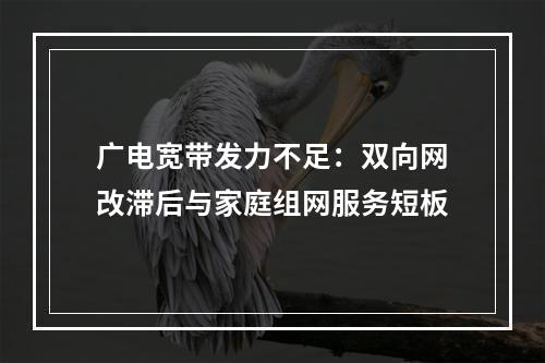 广电宽带发力不足：双向网改滞后与家庭组网服务短板