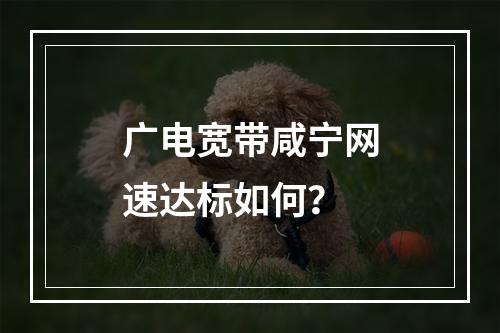 广电宽带咸宁网速达标如何？