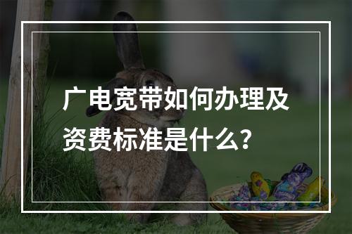 广电宽带如何办理及资费标准是什么？