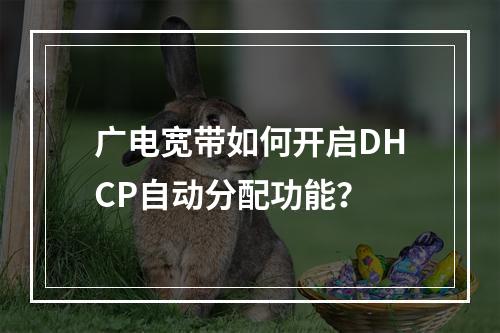 广电宽带如何开启DHCP自动分配功能？
