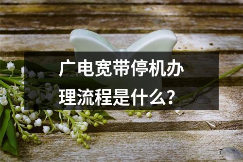 广电宽带停机办理流程是什么？