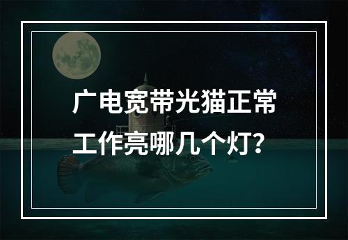 广电宽带光猫正常工作亮哪几个灯？