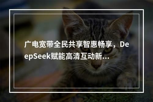广电宽带全民共享智惠畅享，DeepSeek赋能高清互动新体验