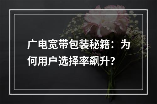 广电宽带包装秘籍：为何用户选择率飙升？