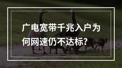 广电宽带千兆入户为何网速仍不达标？