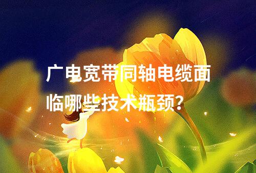 广电宽带同轴电缆面临哪些技术瓶颈？