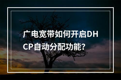 广电宽带如何开启DHCP自动分配功能？
