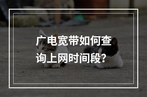 广电宽带如何查询上网时间段？