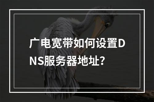 广电宽带如何设置DNS服务器地址？