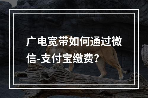 广电宽带如何通过微信-支付宝缴费？