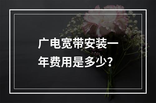 广电宽带安装一年费用是多少？