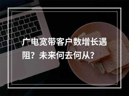 广电宽带客户数增长遇阻？未来何去何从？