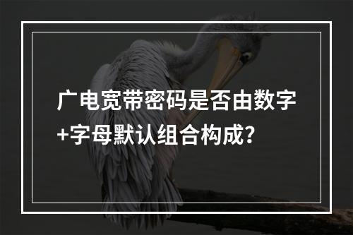 广电宽带密码是否由数字+字母默认组合构成？