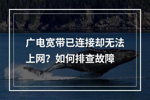 广电宽带已连接却无法上网？如何排查故障