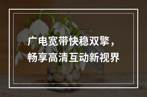 广电宽带快稳双擎，畅享高清互动新视界