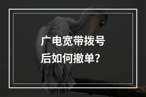广电宽带拨号后如何撤单？