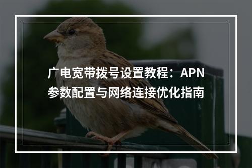 广电宽带拨号设置教程：APN参数配置与网络连接优化指南
