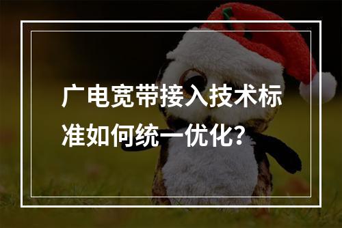 广电宽带接入技术标准如何统一优化？