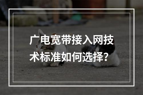广电宽带接入网技术标准如何选择？
