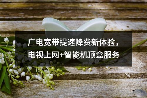 广电宽带提速降费新体验，电视上网+智能机顶盒服务