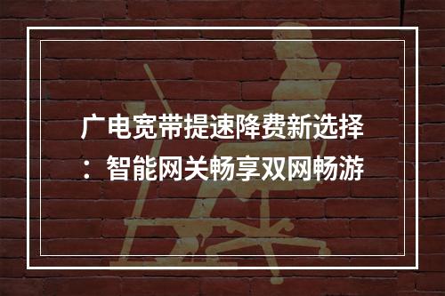 广电宽带提速降费新选择：智能网关畅享双网畅游