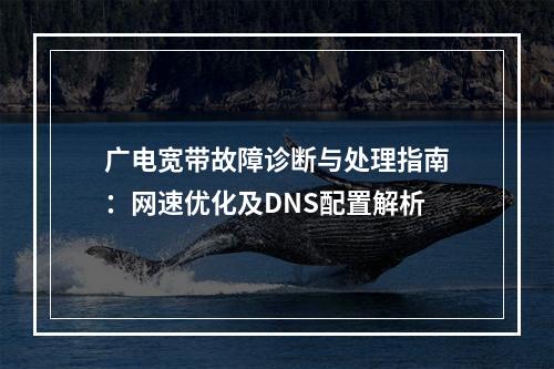 广电宽带故障诊断与处理指南：网速优化及DNS配置解析