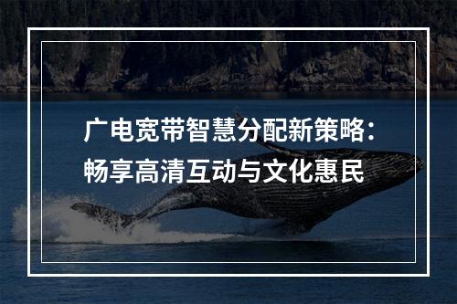 广电宽带智慧分配新策略：畅享高清互动与文化惠民