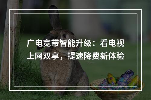 广电宽带智能升级：看电视上网双享，提速降费新体验