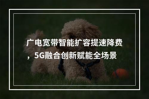 广电宽带智能扩容提速降费，5G融合创新赋能全场景