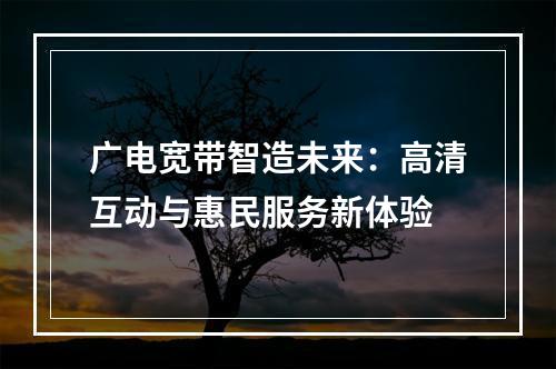 广电宽带智造未来：高清互动与惠民服务新体验
