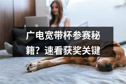 广电宽带杯参赛秘籍？速看获奖关键