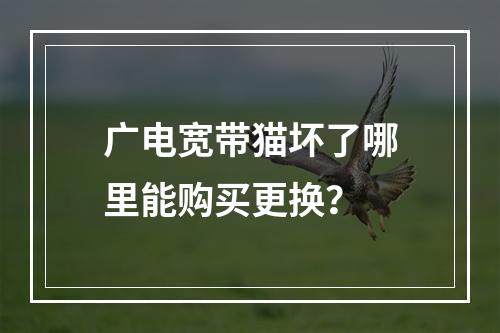 广电宽带猫坏了哪里能购买更换？