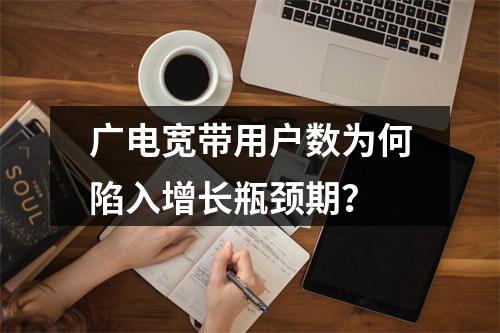 广电宽带用户数为何陷入增长瓶颈期？