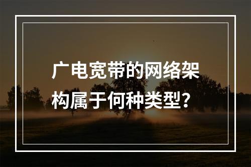 广电宽带的网络架构属于何种类型？