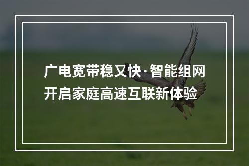 广电宽带稳又快·智能组网开启家庭高速互联新体验
