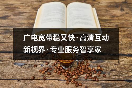 广电宽带稳又快·高清互动新视界·专业服务智享家