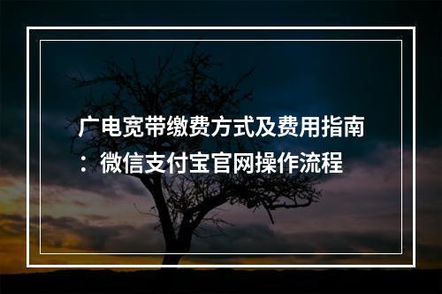 广电宽带缴费方式及费用指南：微信支付宝官网操作流程