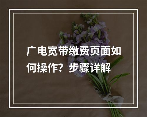 广电宽带缴费页面如何操作？步骤详解