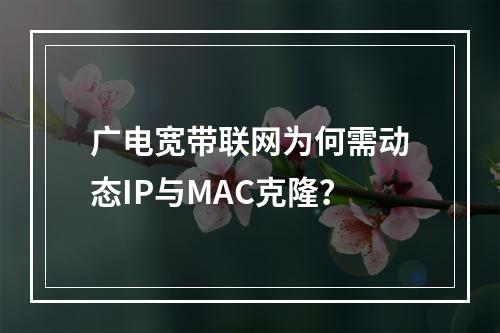 广电宽带联网为何需动态IP与MAC克隆？