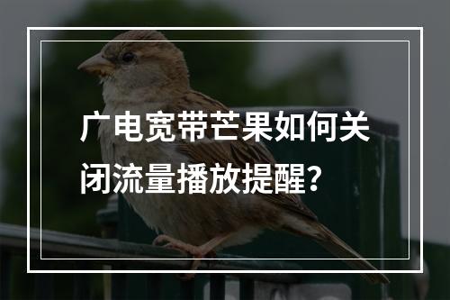 广电宽带芒果如何关闭流量播放提醒？