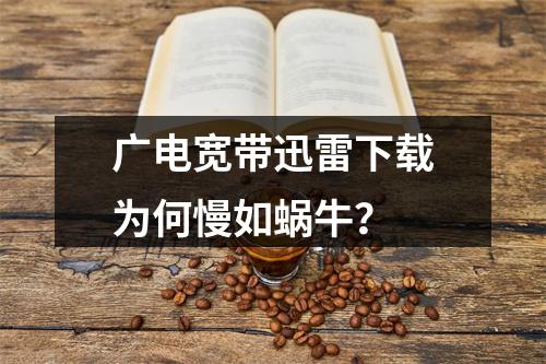 广电宽带迅雷下载为何慢如蜗牛？