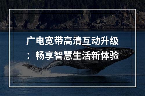 广电宽带高清互动升级：畅享智慧生活新体验