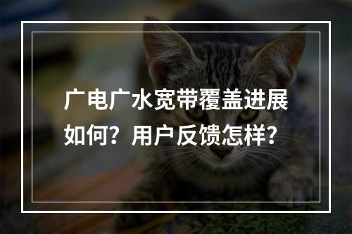 广电广水宽带覆盖进展如何？用户反馈怎样？