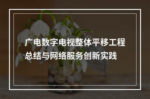 广电数字电视整体平移工程总结与网络服务创新实践